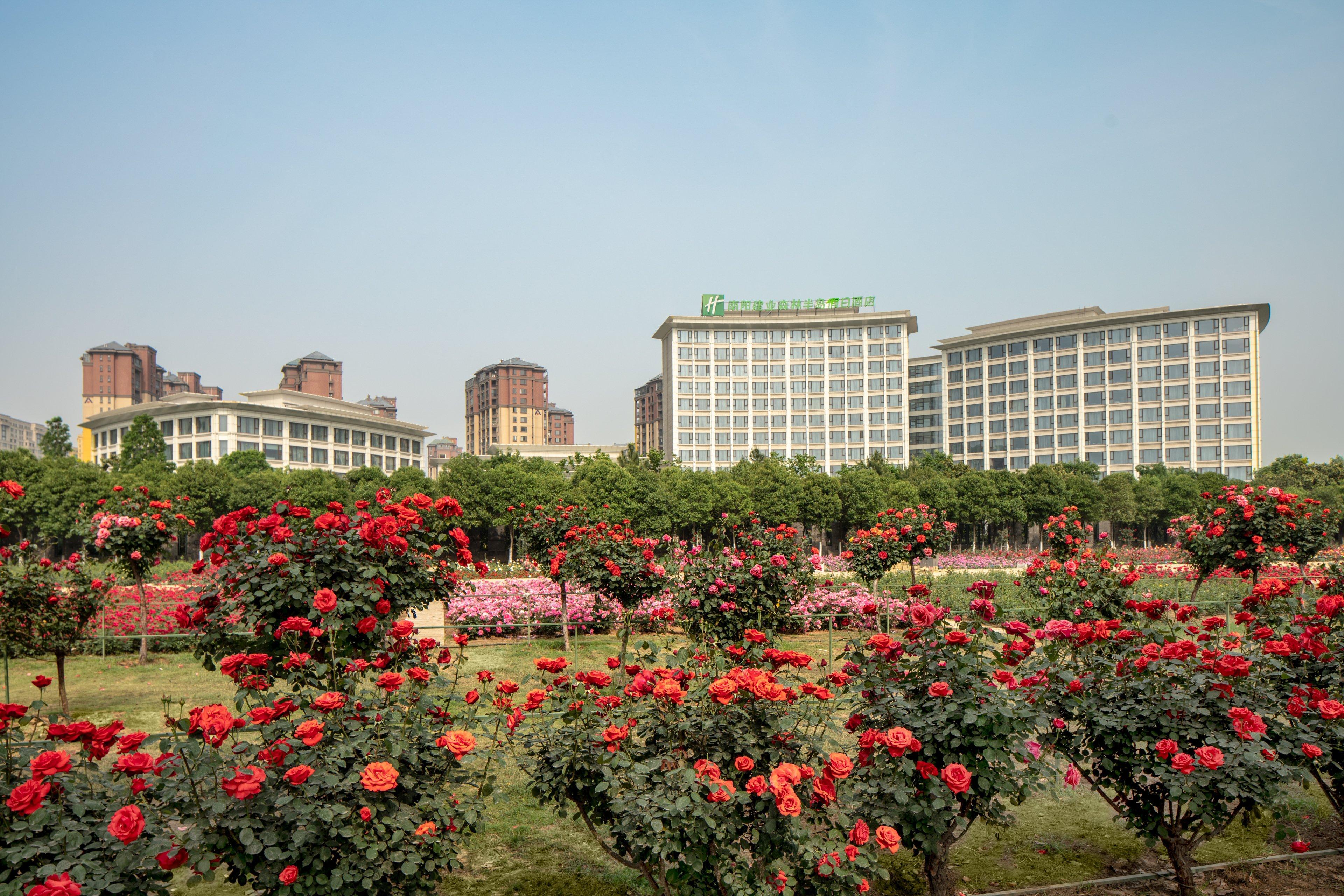 Holiday Inn Nanyang By Ihg Esterno foto